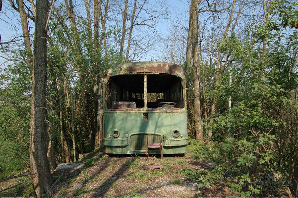 trolleybus/alessandria - 1.jpg