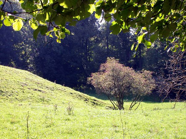 jettenhoehle-2---16+.jpg