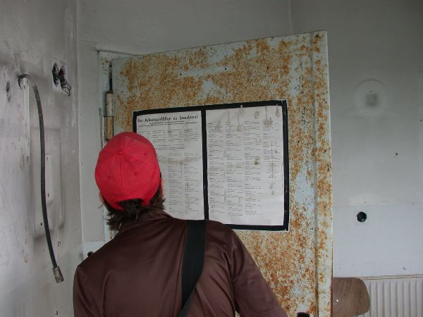 thw - 02.jpg