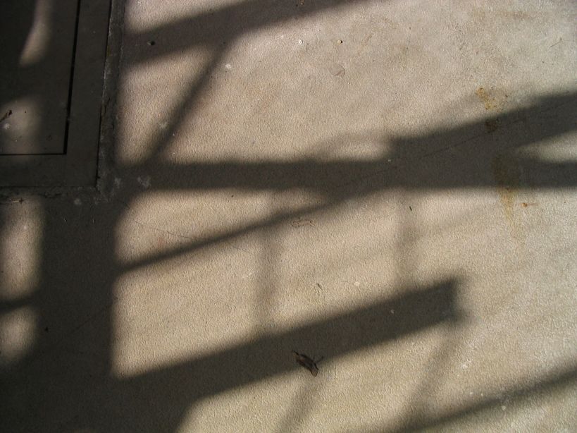 120_2022.JPG