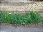 IMG_0651