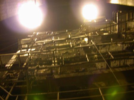 15-sunshine 1.jpg