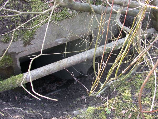 bunker03 - 01.jpg