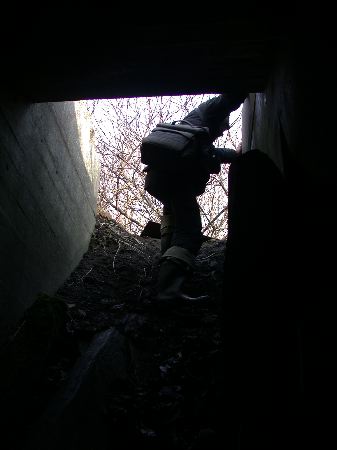 bunker03 - 23.jpg