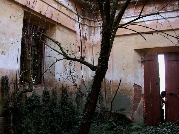 codongo farm - 012.jpg