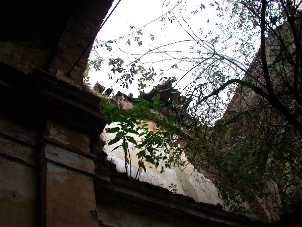 codongo farm - 014.jpg