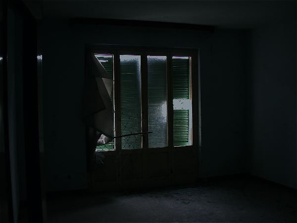codongo farm - 018.jpg