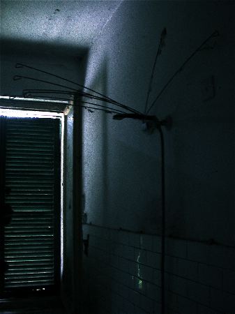 codongo farm - 019.jpg
