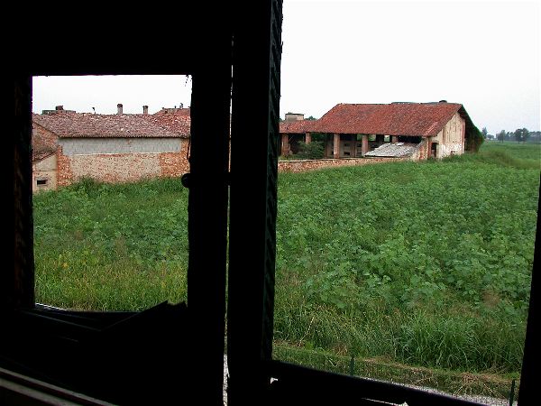 codongo farm - 022.jpg