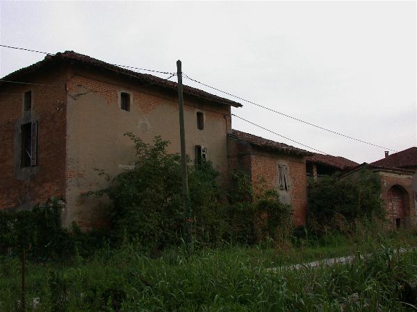 codongo farm - 023.jpg