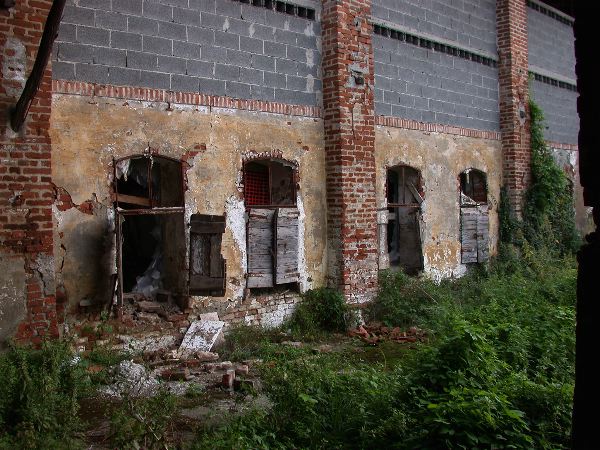 codongo farm - 024.jpg