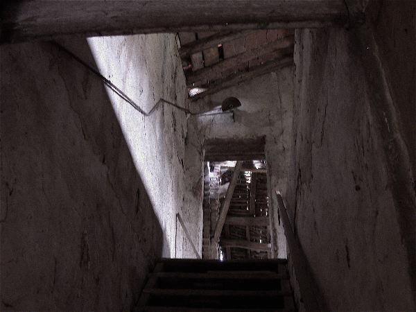 codongo farm - 025.jpg