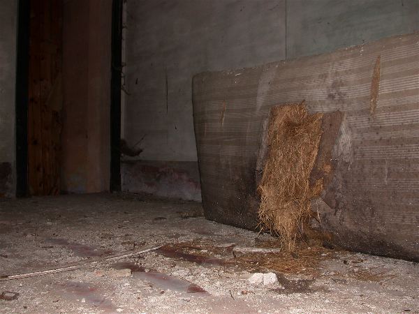 codongo farm - 026.jpg