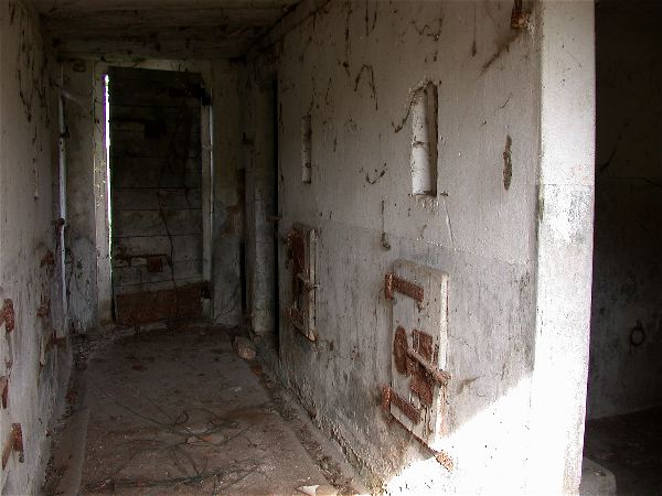 codongo farm - 034.jpg