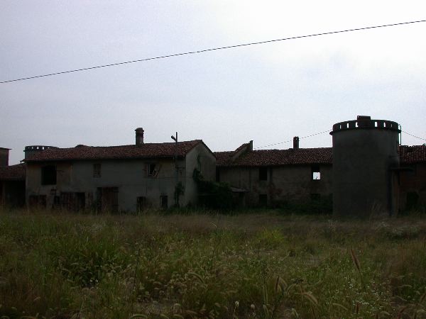 codongo farm - 035.jpg