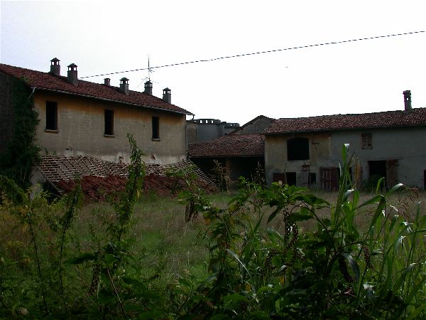 codongo farm - 036.jpg