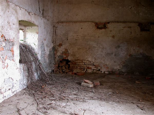 codongo farm - 037.jpg