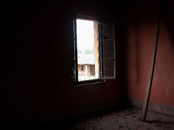 codongo farm - 041.jpg