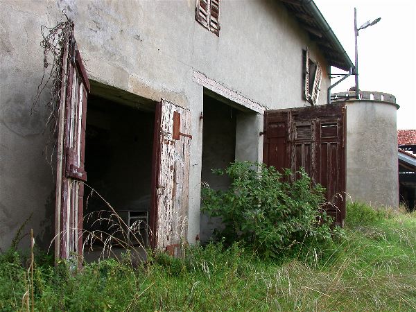 codongo farm - 046.jpg