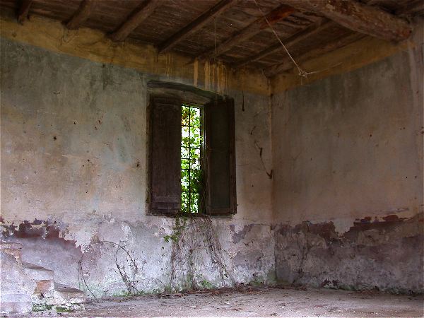 codongo farm - 054.jpg