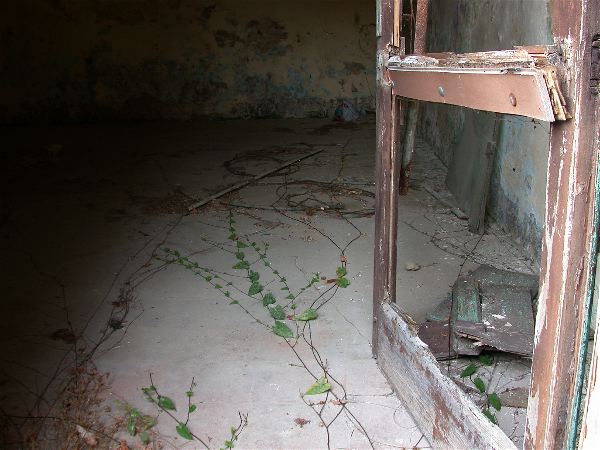 codongo farm - 060.jpg