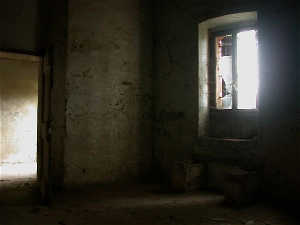 codongo farm - 062.jpg