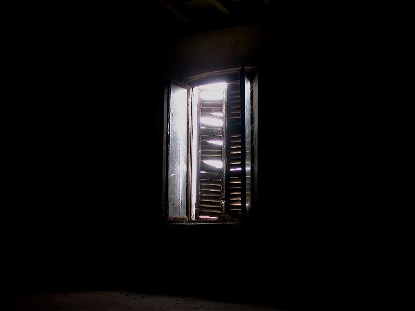 codongo farm - 063.jpg