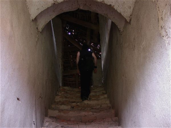 codongo farm - 064.jpg