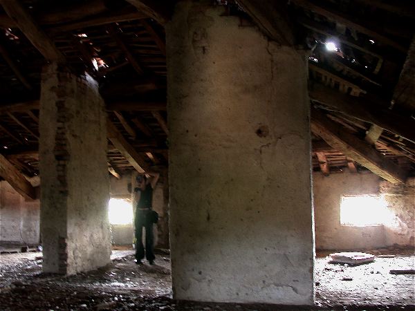 codongo farm - 065.jpg