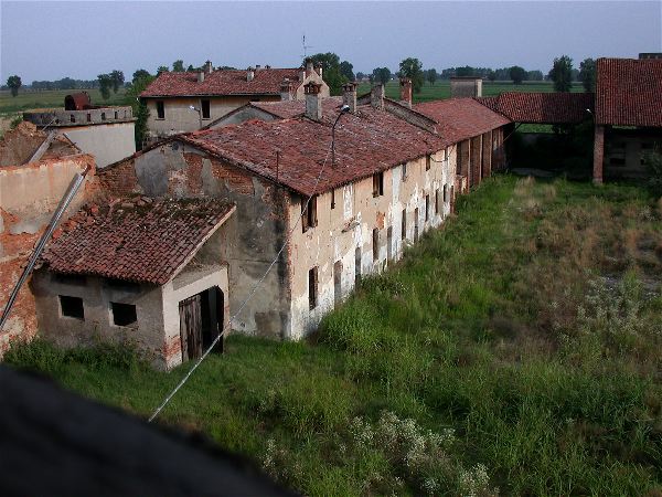 codongo farm - 067.jpg