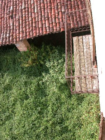codongo farm - 068.jpg