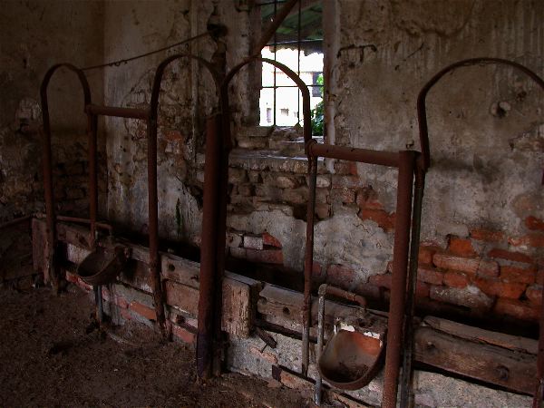 codongo farm - 076.jpg