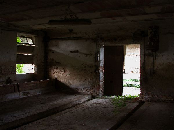codongo farm - 077.jpg