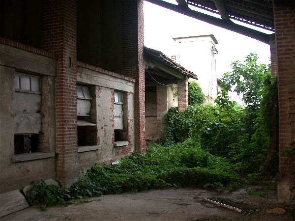 codongo farm - 079.jpg