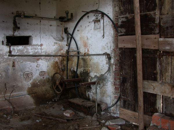 codongo farm - 085.jpg