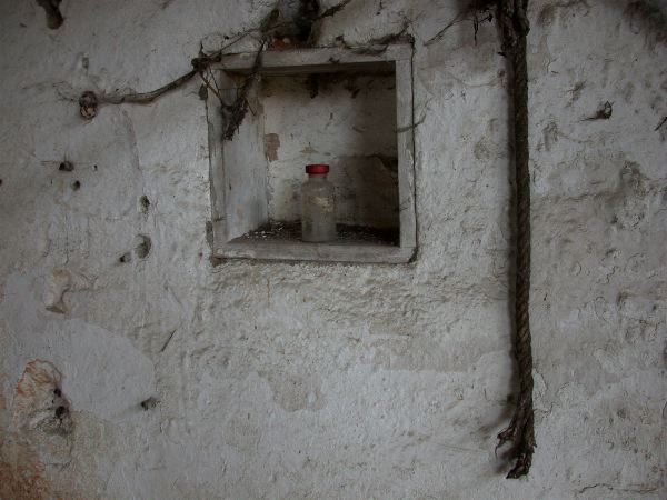 codongo farm - 086.jpg