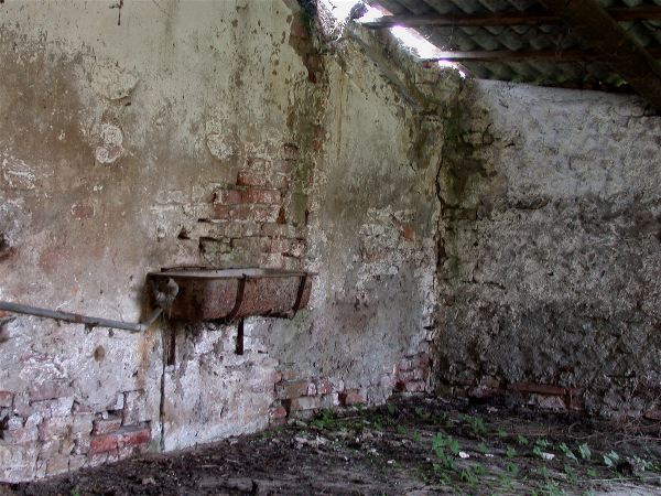 codongo farm - 087.jpg