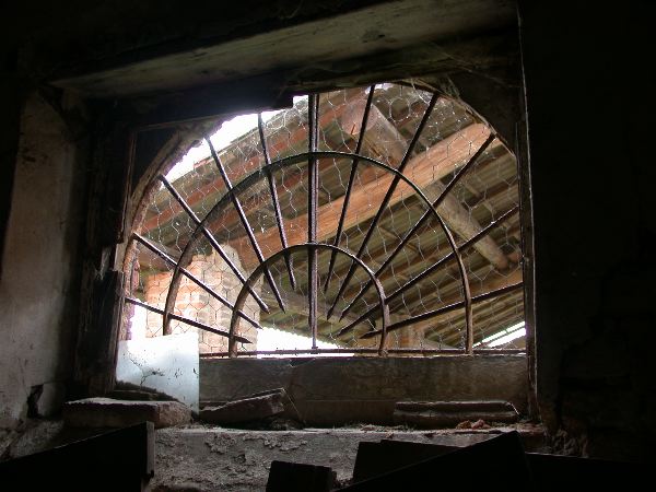 codongo farm - 089.jpg