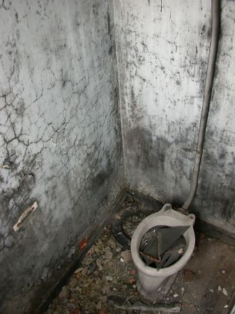 05-toilet.jpg