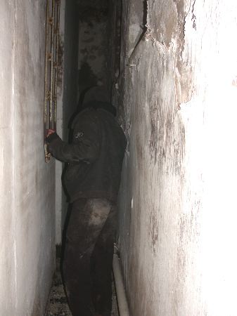 46.jpg