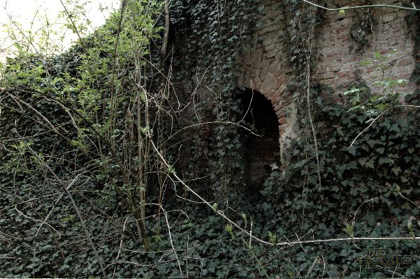 forte/alessandria - 01.jpg