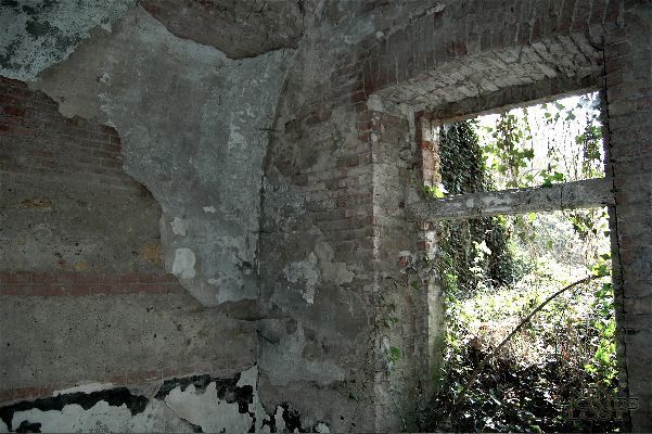 forte/alessandria - 12.jpg