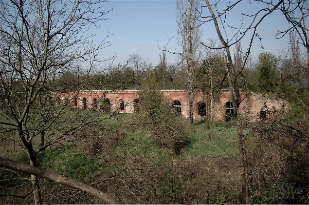 forte/alessandria - 32.jpg