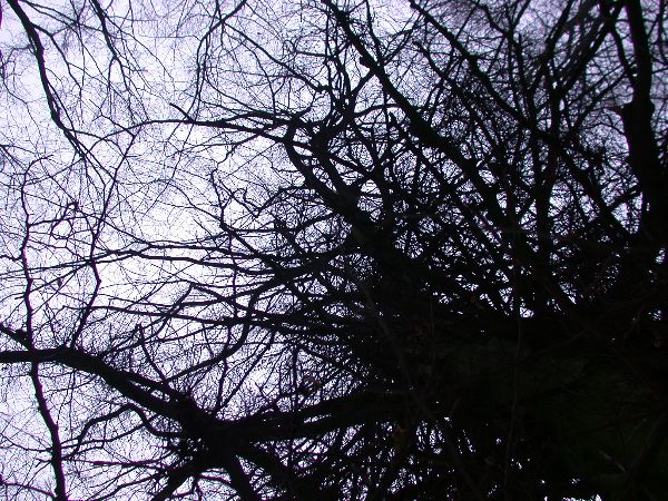 waldeck---04+.jpg