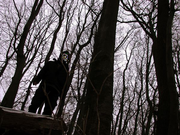 waldeck---05+.jpg