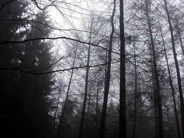 waldeck---06+.jpg
