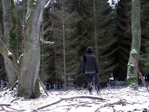 waldeck---07+.jpg