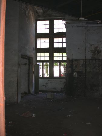 hainholz - 11.jpg