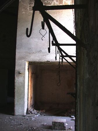 hainholz - 12.jpg
