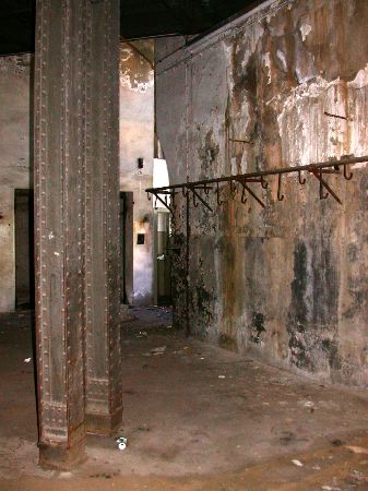 hainholz - 14.jpg